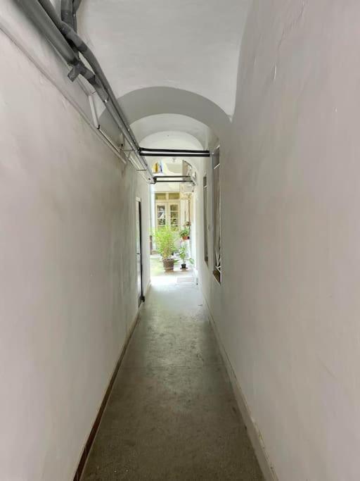 Apartment Alina Urban Getaway Center Pet Friendly Novi Sad