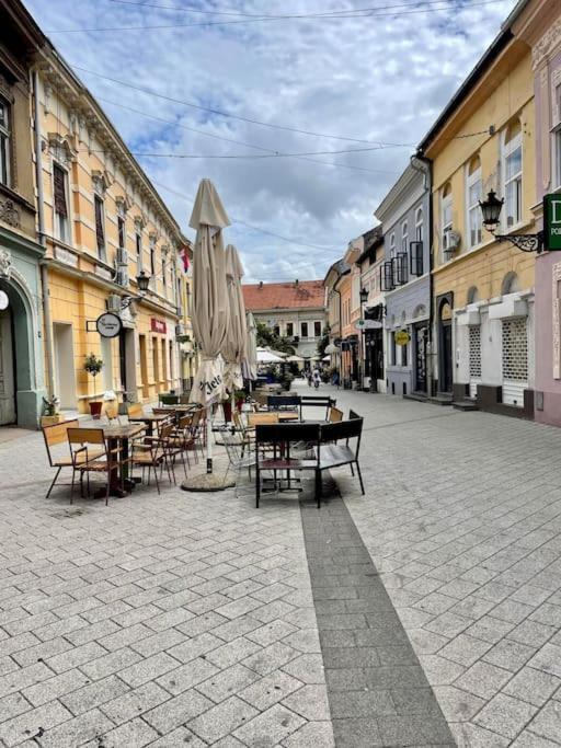 Alina Urban Getaway Center Pet Friendly *